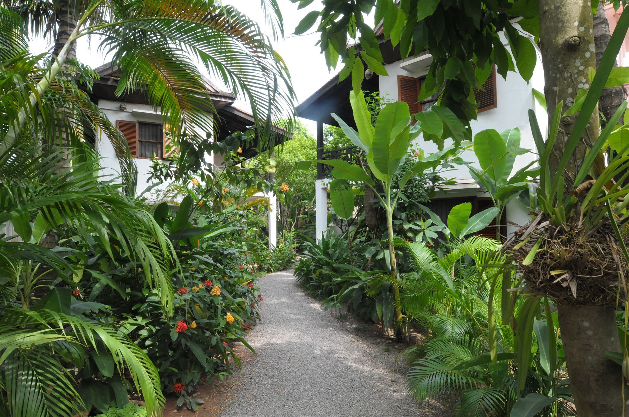 Kafu Resort And Spa 시엠리아프 외부 사진